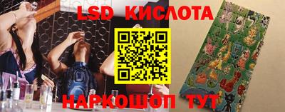 mdpv Дубна