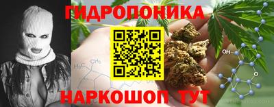 mdpv Дубна