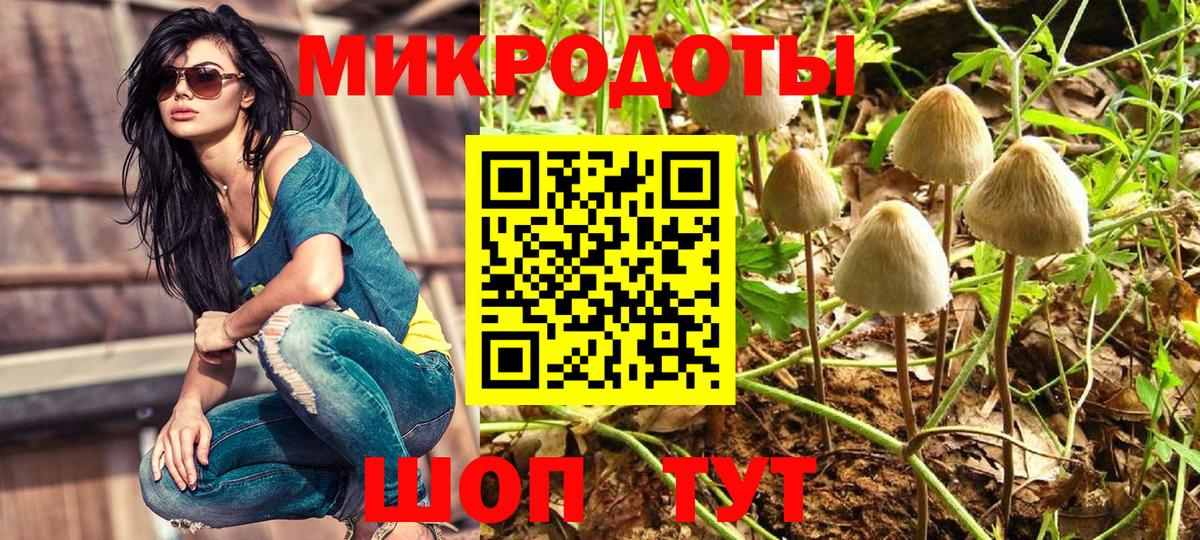Галлюциногенные грибы прущие грибы Шелехов